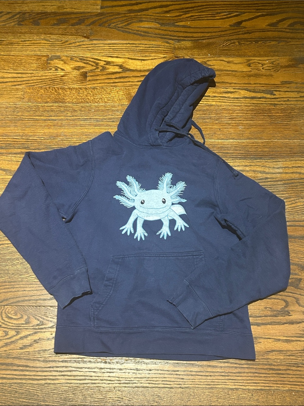 Kids Navy Hoodie with Axolotl Graphic